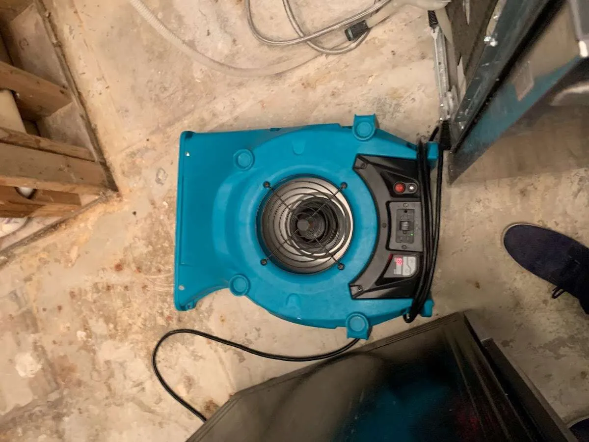 Air mover drying equipment for Mold Remediation & Removal in Myrtletown